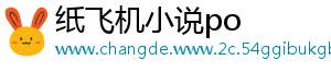 纸飞机小说po